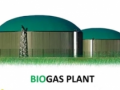 41 biogas cylinder filling and storage plants granted approval, license issued to 14 plants: Centre - Hindi News | 41 biogas cylinder filling and storage plants granted approval, license issued to 14 plants: Centre | Latest business News at Lokmattimes.com