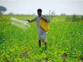 Fertiliser supply strong, stable and above requirement across India: Govt - Hindi News | Fertiliser supply strong, stable and above requirement across India: Govt | Latest national News at Lokmattimes.com