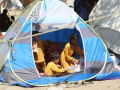 Afghanistan ranked fifth among nations facing acute hunger: Report - Hindi News | Afghanistan ranked fifth among nations facing acute hunger: Report | Latest international News at Lokmattimes.com