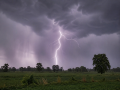 Bihar: Three killed in lightning strikes as storm hits Katihar - Hindi News | Bihar: Three killed in lightning strikes as storm hits Katihar | Latest national News at Lokmattimes.com