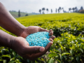 Govt holds fertiliser prices steady to shield farmers from volatile global market - Hindi News | Govt holds fertiliser prices steady to shield farmers from volatile global market | Latest national News at Lokmattimes.com