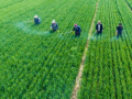 US flags China-linked illegal pesticide influx - Hindi News | US flags China-linked illegal pesticide influx | Latest international News at Lokmattimes.com