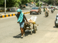 Govt issues heatwave advisory to protect workers; mandates cooling, water and flexible work hours - Hindi News | Govt issues heatwave advisory to protect workers; mandates cooling, water and flexible work hours | Latest business News at Lokmattimes.com
