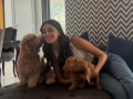 Mom of three Ananya Panday spends some quality time with her fur babies - Hindi News | Mom of three Ananya Panday spends some quality time with her fur babies | Latest entertainment News at Lokmattimes.com