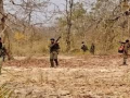 Encounter breaks out between Maoists and security forces in Jharkhand's West Singhbhum forests - Hindi News | Encounter breaks out between Maoists and security forces in Jharkhand's West Singhbhum forests | Latest national News at Lokmattimes.com