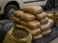 Six arrested as NCB cracks interstate ganja smuggling network - Hindi News | Six arrested as NCB cracks interstate ganja smuggling network | Latest national News at Lokmattimes.com