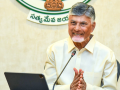Andhra local body polls soon: Chandrababu Naidu - Hindi News | Andhra local body polls soon: Chandrababu Naidu | Latest national News at Lokmattimes.com