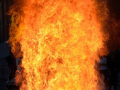 Five of family burnt alive after car catches fire on Delhi-Mumbai expressway in Alwar - Hindi News | Five of family burnt alive after car catches fire on Delhi-Mumbai expressway in Alwar | Latest national News at Lokmattimes.com