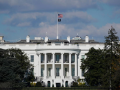 White House seeks new coalition to secure Hormuz shipping: Report - Hindi News | White House seeks new coalition to secure Hormuz shipping: Report | Latest international News at Lokmattimes.com