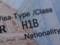 USCIS flags 100 H-1B cases linked to DEI roles - Hindi News | USCIS flags 100 H-1B cases linked to DEI roles | Latest international News at Lokmattimes.com