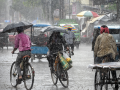 Tripura: Heavy rain hits agriculture; 33,000 farmers affected, Rs 59 crore loss​ - Hindi News | Tripura: Heavy rain hits agriculture; 33,000 farmers affected, Rs 59 crore loss​ | Latest business News at Lokmattimes.com