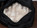 490 NDPS cases, 47 kg heroin seized from Pakistan-bordering Tarn Taran - Hindi News | 490 NDPS cases, 47 kg heroin seized from Pakistan-bordering Tarn Taran | Latest national News at Lokmattimes.com