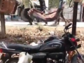 Viral video exposes lapse in mortuary services at MP hospital, Collector orders action - Hindi News | Viral video exposes lapse in mortuary services at MP hospital, Collector orders action | Latest health News at Lokmattimes.com