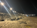 Adani Electricity, BMC light up 2.5-km Gorai Beach stretch in Mumbai - Hindi News | Adani Electricity, BMC light up 2.5-km Gorai Beach stretch in Mumbai | Latest business News at Lokmattimes.com
