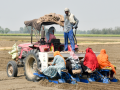 India’s urban unemployment dips, rural jobs rise - Hindi News | India’s urban unemployment dips, rural jobs rise | Latest technology News at Lokmattimes.com