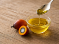 Palm oil shouldn't be defamed without evidence: Experts - Hindi News | Palm oil shouldn't be defamed without evidence: Experts | Latest technology News at Lokmattimes.com