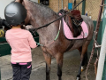 Priyanka Chopra drops a glimpse of daughter Malti making a new friend - Hindi News | Priyanka Chopra drops a glimpse of daughter Malti making a new friend | Latest entertainment News at Lokmattimes.com