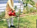 Shivraj becomes brand ambassador of MP's afforestation drive - Hindi News | Shivraj becomes brand ambassador of MP's afforestation drive | Latest national News at Lokmattimes.com