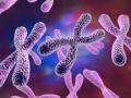 1 in 500 men carry extra sex chromosome raising risk of diseases: Study - Hindi News | 1 in 500 men carry extra sex chromosome raising risk of diseases: Study | Latest health News at Lokmattimes.com