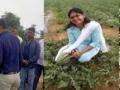 J'khand couple quit corporate jobs, turn model farmers, pioneer app-based irrigation - Hindi News | J'khand couple quit corporate jobs, turn model farmers, pioneer app-based irrigation | Latest technology News at Lokmattimes.com