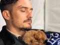 Orlando Bloom gets tattoo in honour of dead pet dog - Hindi News | Orlando Bloom gets tattoo in honour of dead pet dog | Latest entertainment News at Lokmattimes.com