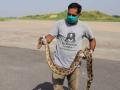 Massive python hitches ride to Taj Mahal on e-rickshaw! - Hindi News | Massive python hitches ride to Taj Mahal on e-rickshaw! | Latest national News at Lokmattimes.com