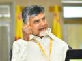 YSRCP MLAs, MPs have 408 criminal cases, says Chandrababu - Hindi News | YSRCP MLAs, MPs have 408 criminal cases, says Chandrababu | Latest politics News at Lokmattimes.com
