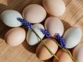 Are you eating an egg-cellent breakfast? - Hindi News | Are you eating an egg-cellent breakfast? | Latest lifestyle News at Lokmattimes.com
