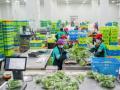 Ramp up surveillance at e-commerce warehouses to boost food safety: FSSAI to states - Hindi News | Ramp up surveillance at e-commerce warehouses to boost food safety: FSSAI to states | Latest health News at Lokmattimes.com