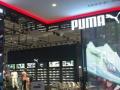 PUMA opens its largest experiential store in South India - Hindi News | PUMA opens its largest experiential store in South India | Latest lifestyle News at Lokmattimes.com
