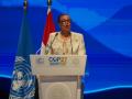 Close gaps on emissions, finance: Commonwealth Secretary-General at COP27 - Hindi News | Close gaps on emissions, finance: Commonwealth Secretary-General at COP27 | Latest international News at Lokmattimes.com
