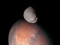 UAE's mission Hope captures first up-close images of Mars moon Deimos - Hindi News | UAE's mission Hope captures first up-close images of Mars moon Deimos | Latest technology News at Lokmattimes.com
