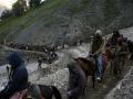 7,900 perform Amaranth Yatra, another batch of 4,903 leaves Jammu for Kashmir - Hindi News | 7,900 perform Amaranth Yatra, another batch of 4,903 leaves Jammu for Kashmir | Latest national News at Lokmattimes.com