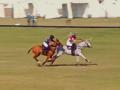Carysil Polo, Madon Polo win in The Silver Stick Cup - Hindi News | Carysil Polo, Madon Polo win in The Silver Stick Cup | Latest other-sports News at Lokmattimes.com