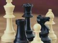 Chess faction merges with AICF to end infighting - Hindi News | Chess faction merges with AICF to end infighting | Latest other-sports News at Lokmattimes.com