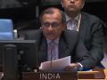 Don't patronize us: India's envoy to UN tells Dutch Ambassador - Hindi News | Don't patronize us: India's envoy to UN tells Dutch Ambassador | Latest politics News at Lokmattimes.com