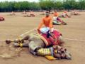 BSF's Yoga on camels' back draws public ire on social media - Hindi News | BSF's Yoga on camels' back draws public ire on social media | Latest international News at Lokmattimes.com