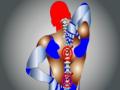 Study calls out against spine injections for chronic back pain - Hindi News | Study calls out against spine injections for chronic back pain | Latest health News at Lokmattimes.com