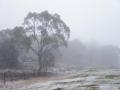 Snow, heatwave coincide in Australia - Hindi News | Snow, heatwave coincide in Australia | Latest international News at Lokmattimes.com