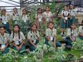 Unique roof garden in Bengal school produces vegetables for mid-day meal - Hindi News | Unique roof garden in Bengal school produces vegetables for mid-day meal | Latest national News at Lokmattimes.com