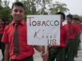 76% students forced to watch tobacco advertisements - Hindi News | 76% students forced to watch tobacco advertisements | Latest health News at Lokmattimes.com