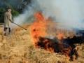 Delhi L-G writes to Punjab CM over stubble burning, asks to take urgent steps - Hindi News | Delhi L-G writes to Punjab CM over stubble burning, asks to take urgent steps | Latest politics News at Lokmattimes.com