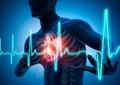 Rising cardiac arrest, a sign for young India to focus on right approach to life - Hindi News | Rising cardiac arrest, a sign for young India to focus on right approach to life | Latest health News at Lokmattimes.com
