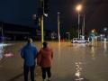 Four killed as rain pummels New Zealand's Auckland - Hindi News | Four killed as rain pummels New Zealand's Auckland | Latest international News at Lokmattimes.com