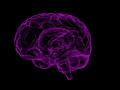 Indian-origin scientists identify 11 risk factors for developing dementia - Hindi News | Indian-origin scientists identify 11 risk factors for developing dementia | Latest international News at Lokmattimes.com