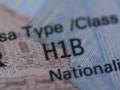 Amid layoffs, tech firms continue to exploit H-1B visa programme: Study - Hindi News | Amid layoffs, tech firms continue to exploit H-1B visa programme: Study | Latest international News at Lokmattimes.com