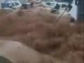 Floods-caused collapse kills 8 illegal miners in South Africa - Hindi News | Floods-caused collapse kills 8 illegal miners in South Africa | Latest politics News at Lokmattimes.com