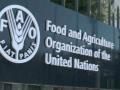 Public investment in agri-food systems up 22% in 2022: FAO report - Hindi News | Public investment in agri-food systems up 22% in 2022: FAO report | Latest health News at Lokmattimes.com