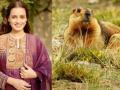 Dia Mirza shares rare sighting of Himalayan Marmot during film shoot - Hindi News | Dia Mirza shares rare sighting of Himalayan Marmot during film shoot | Latest entertainment News at Lokmattimes.com