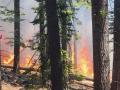 Over 500 firefighters battle wildfire to protect trees in US Yosemite National Park - Hindi News | Over 500 firefighters battle wildfire to protect trees in US Yosemite National Park | Latest politics News at Lokmattimes.com